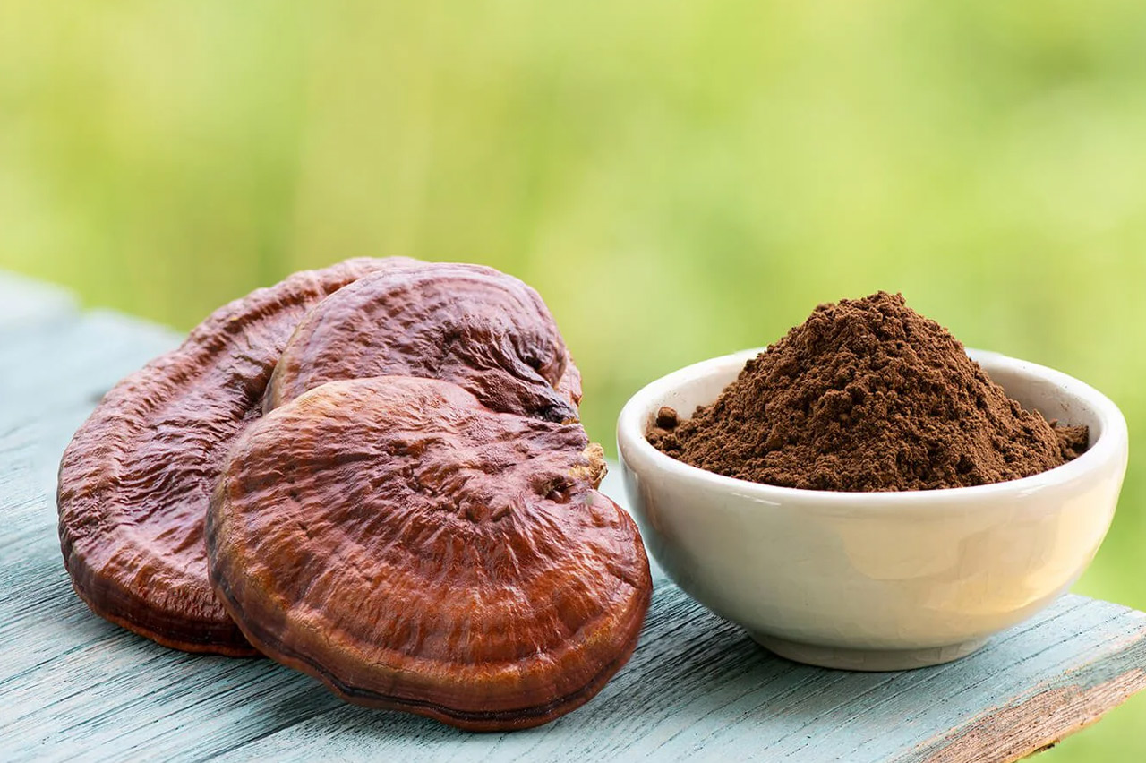Reishi Mantarı