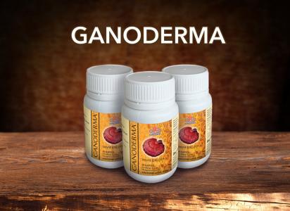 GanoExcel Ganoderma