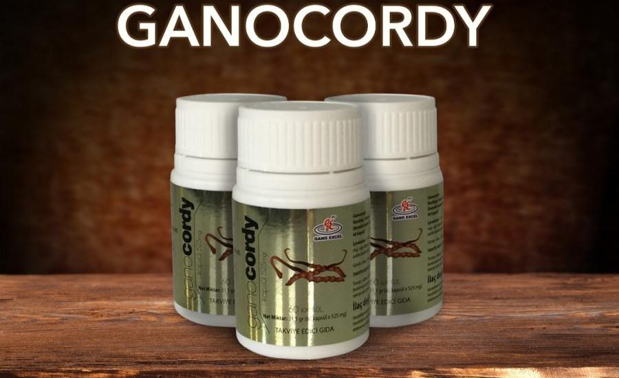 Ganoexcel GANOCORDY