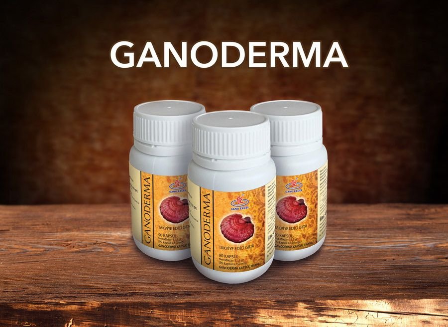Ganoderma