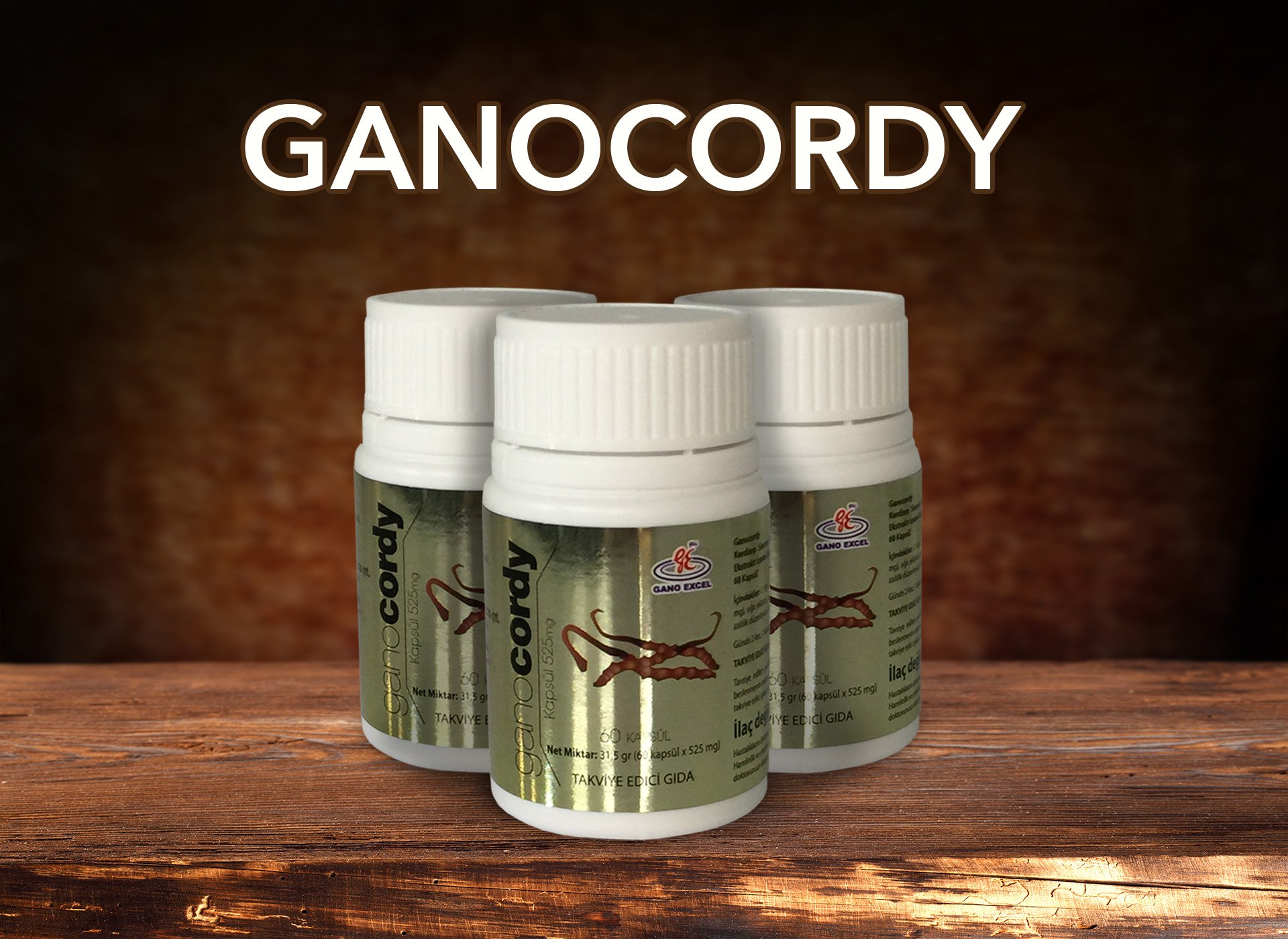 Ganocordy